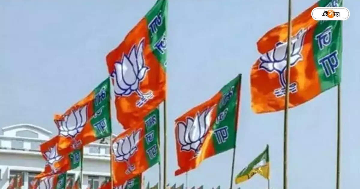 West Bengal BJP Leader: লোকসভা নির্বাচনের দিনক্ষণ ঘোষণা BJP নেতার! তুমুল বিতর্ক – bjp leader sujit das claims that lok sabha election may happen between 10 to 15 may