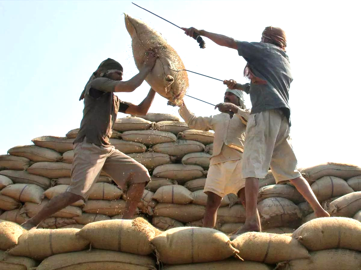 India to supply rice to Mauritius and Bhutan;  Export bans will continue in other countries