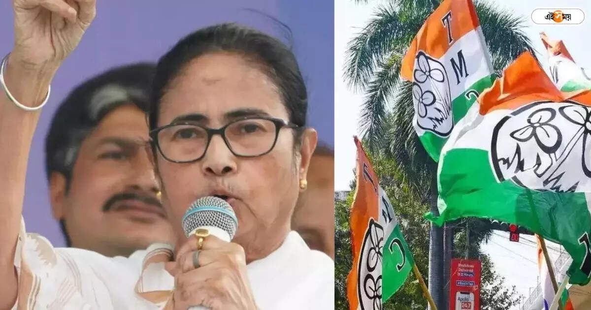Mamata Banerjee,সরকার গড়বে ‘ইন্ডিয়া’ই, লিড করবে তৃণমূল: মমতা – west bengal cm mamata banerjee says if india alliance comes to power of delhi tmc will lead