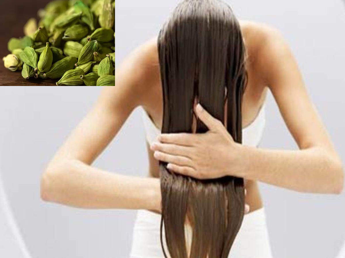 Elaichi Hair Fall,Hair fall रोकने में मदद करती है इलायची, जानें फायदे -  elaichi or cardamom benefits in hair fall or alopecia - Navbharat Times