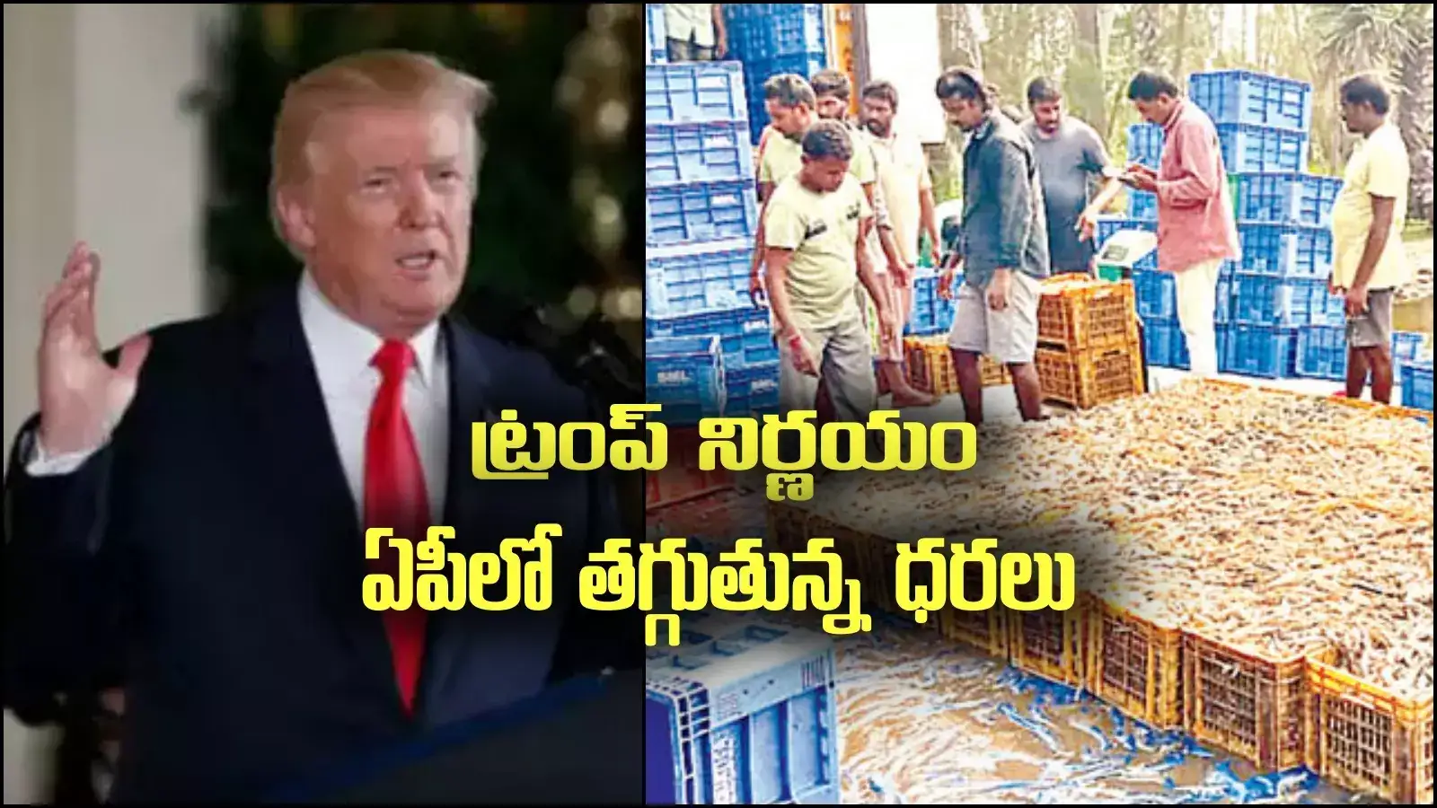 ట్రంప్ నిర్ణయం, ఏపీలో తగ్గుతున్న ధరలు.. అమెరికా తుమ్మితే ప్రపంచానికి జలుబంటే ఇదే..