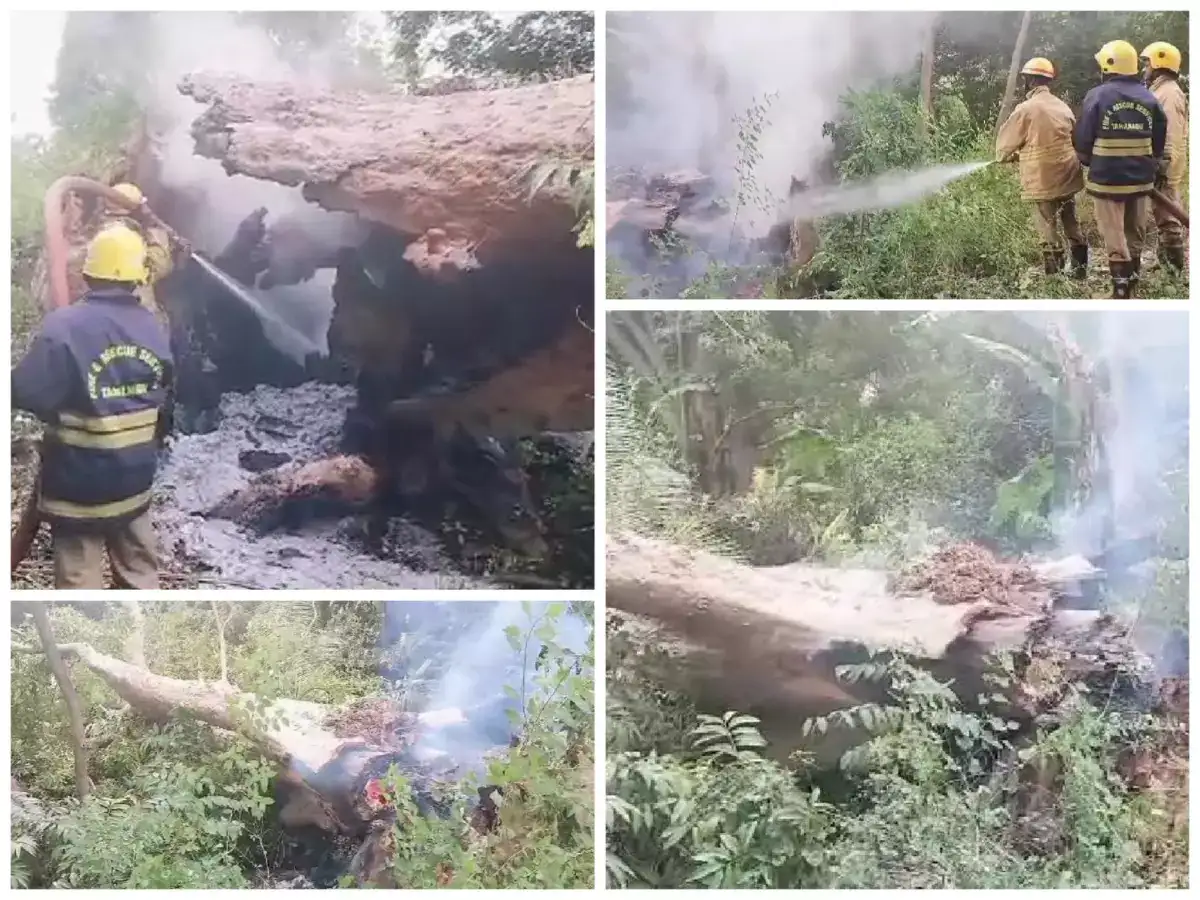 தேனி: இதை தீவைத்து கொழுத்த எப்படி மனசு வந்துச்சோ.? சோழர் காலத்து பாரம்பரியத்தை வேரோடு சாய்ச்சுட்டாங்களே.! 