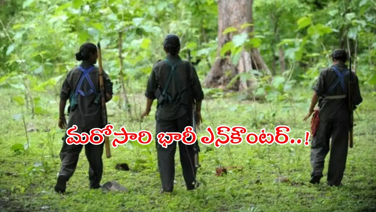 ములుగు జిల్లాలో భారీ ఎన్‌కౌంటర్.. ఏడుగురు మావోయిస్టులు హతం..!