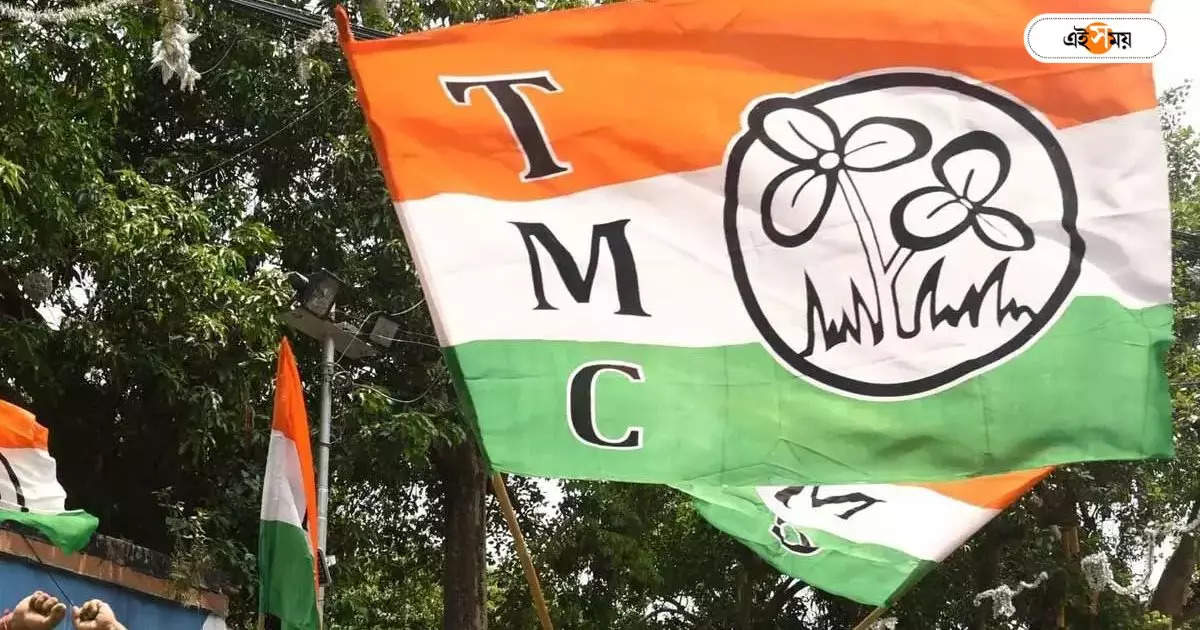 Bankura Trinamool Congress : ব্রিটিশদের বিরুদ্ধে লড়েছে তৃণমূল! বিধায়কের মন্তব্যে নয়া বিতর্ক – arup chakraborty trinamool congress mla controversial remarks on indian national movement