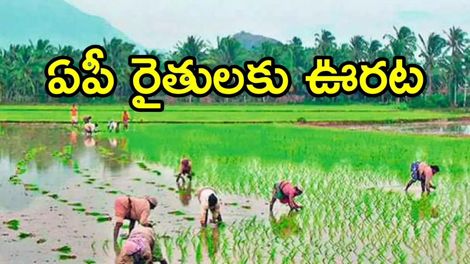 ఏపీలో కౌలు రైతులకు భారీ ఊరట.. ప్రభుత్వం రిక్వెస్ట్‌తో ఓకే చెప్పిన బ్యాంకులు!