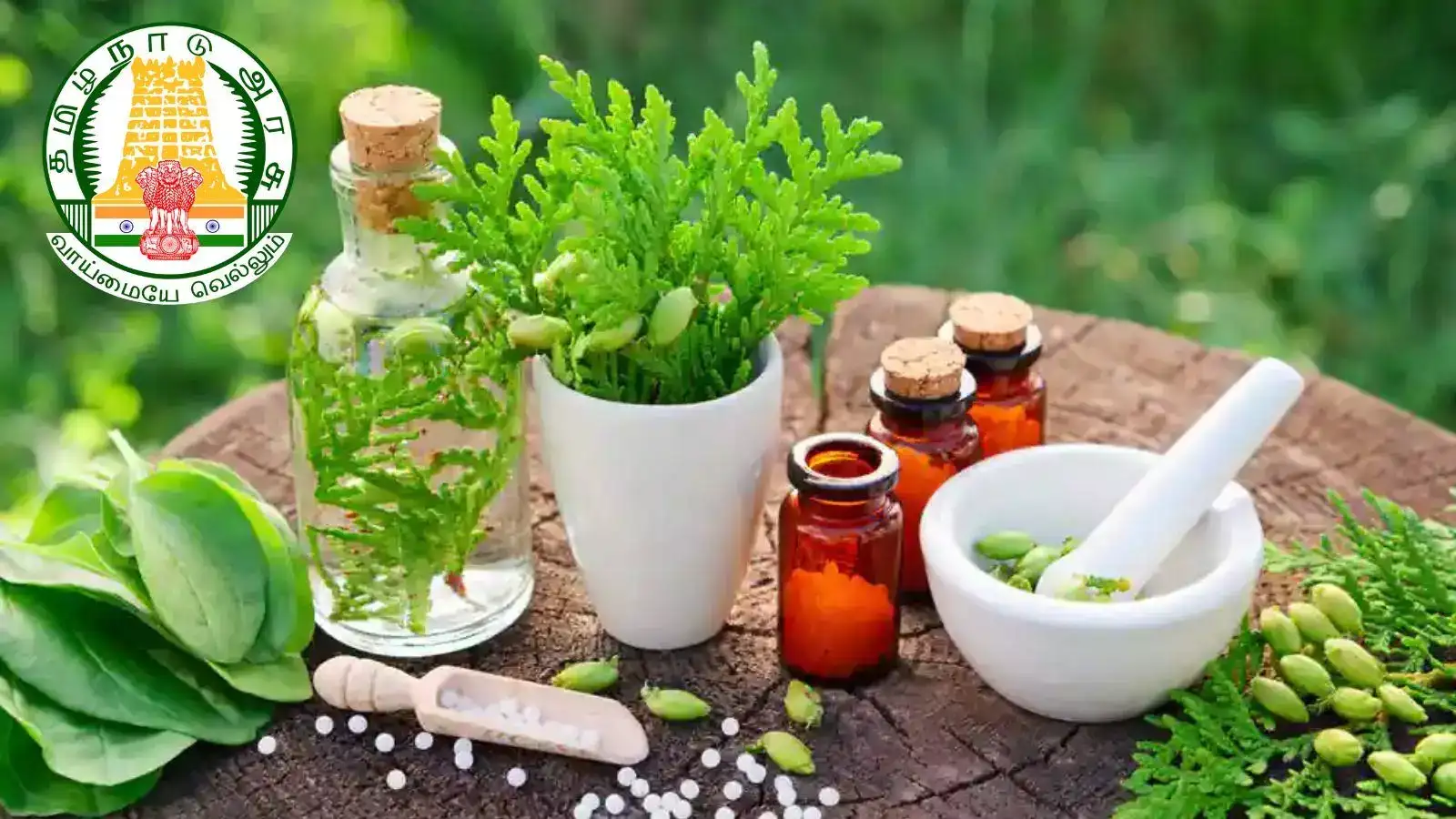 சித்தா, ஆயுர்வேதா உள்ளிட்ட இந்திய மருத்துவப் படிப்புகளுக்கு விண்ணப்பம் தொடக்கம் - தகுதிகள், கட்டணம் விவரங்கள்! 