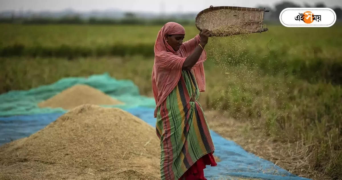 Paddy Procurement In West Bengal : ধান কেনার MSP বাড়াল সরকার, আরও সহজে বিক্রি করতে পারবেন কৃষকরা – paddy procurement in west bengal going to be more easier and hikes msp