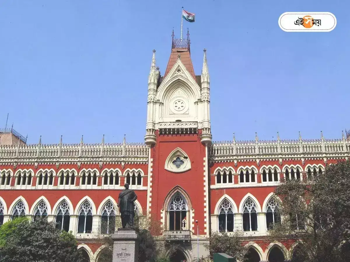Calcutta High Court to KMC : ‘৬ সপ্তাহের মধ্যে সরান…’, শহরের হকার নিয়ে কলকাতা পুরসভাকে নির্দেশ হাইকোর্টের – calcutta high court orders kolkata municipal corporation to remove illegal hawkers within six weeks