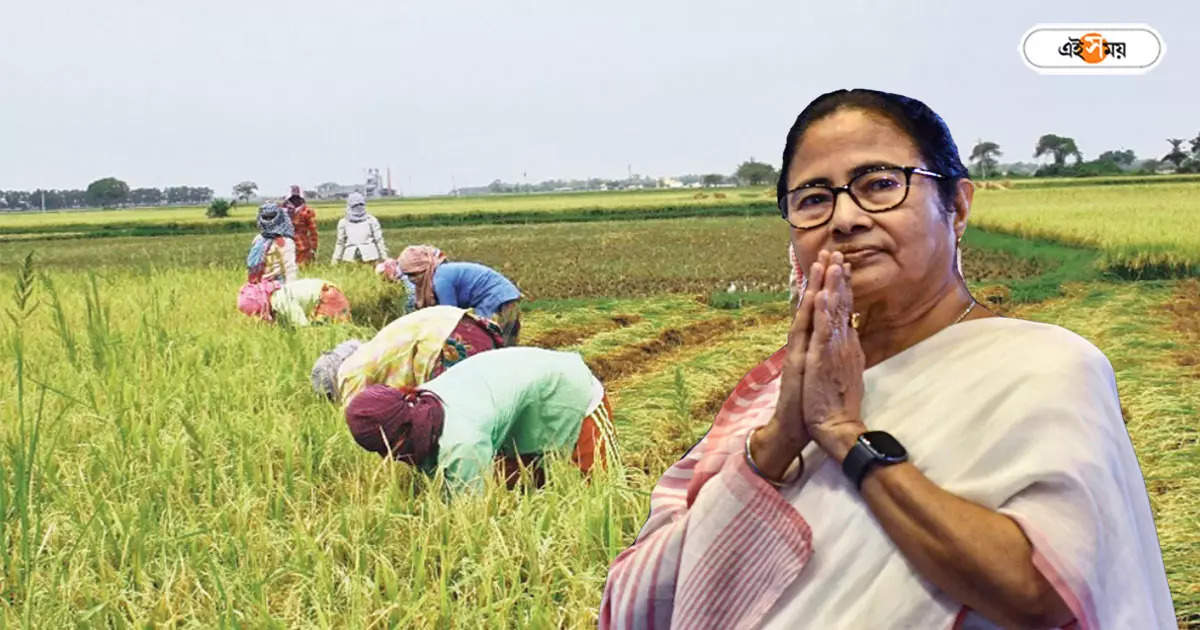 Mamata Banerjee : রাজ্যের কৃষকদের জন্য সুখবর, ক্ষতিগ্রস্ত চাষিদের জন্য বড় ঘোষণা মুখ্যমন্ত্রীর – mamata banerjee announced financial help to west bengal farmers