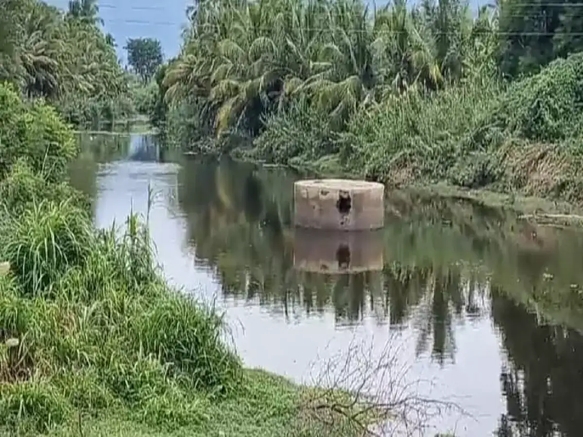 பெரியகுளம் ராஜ வாய்க்காலை தூர்வார விவசாயிகள் கோரிக்கை 