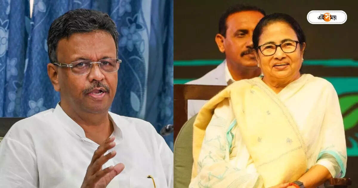 Firhad Hakim : ‘মমতা আরও ২০ বছর সুস্থ থাকুন…’, তৃণমূলের নবীন-প্রবীণ ইস্যু নিয়ে মুখ খুললেন ফিরহাদ – firhad hakim minister and trinamool congress leader opens up on several party issue