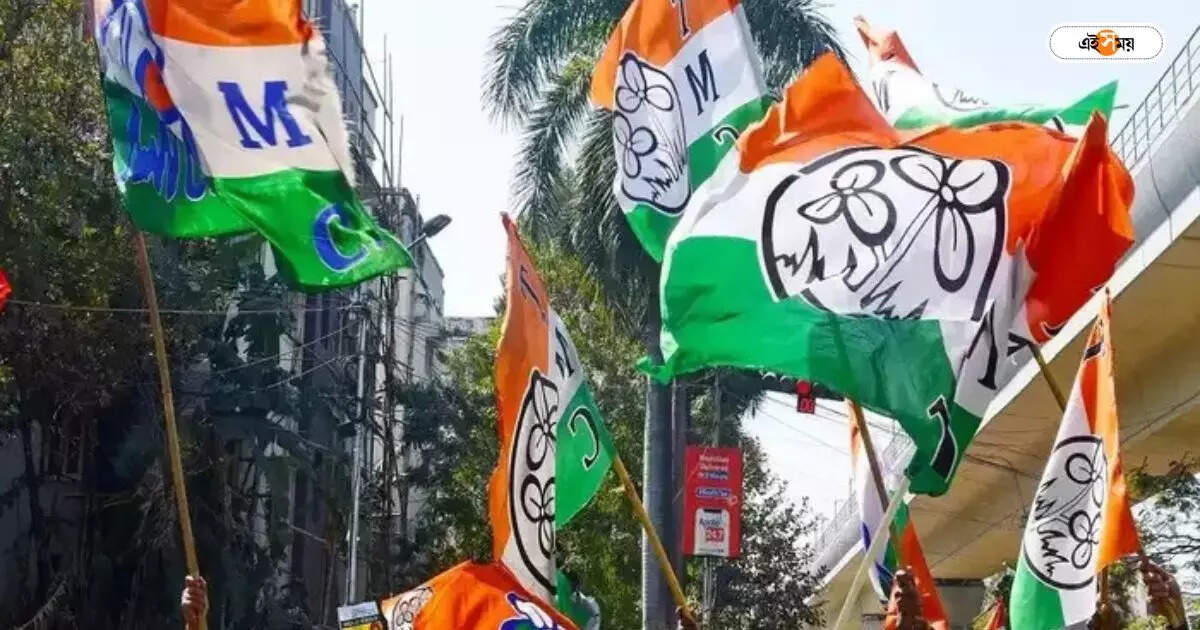 Trinamool Congress : নেতার উদ্দাম নাচের ভিডিয়ো ভাইরাল – controversy over trinamool leader dance in ghatal