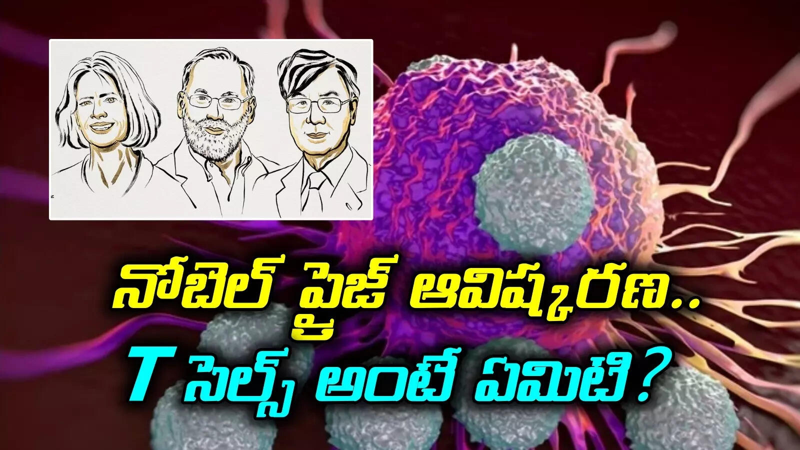 నోబెల్ ప్రైజ్ పొందిన ఆవిష్కరణ.. ఆ వ్యాధుల గుట్టు విప్పేయొచ్చు..! T సెల్స్ అంటే ఏమిటి?