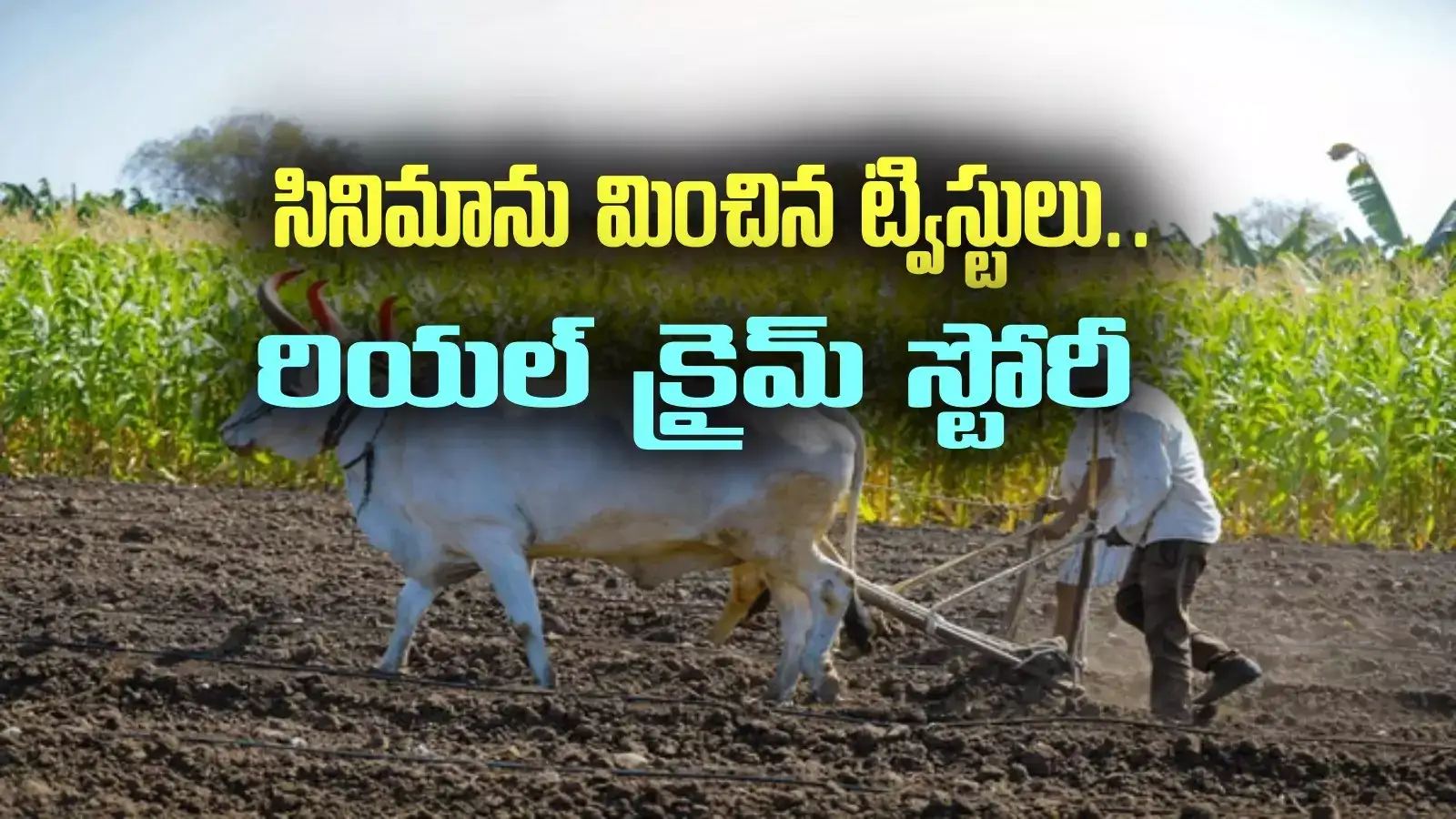 వరుస పశువుల మరణాలు.. భయంతో వణికిపోయిన ఊరి జనం.. సీసీటీవీ చూస్తే వామ్మో!