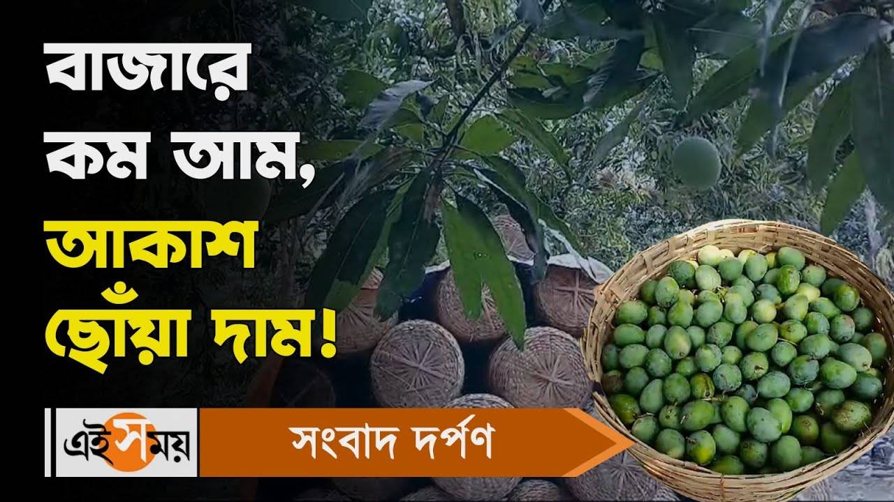 Himsagar Mango: বাজারে কম আম, আকাশ ছোঁয়া দাম! – mango price hike due to low production in santipur bazar watch video