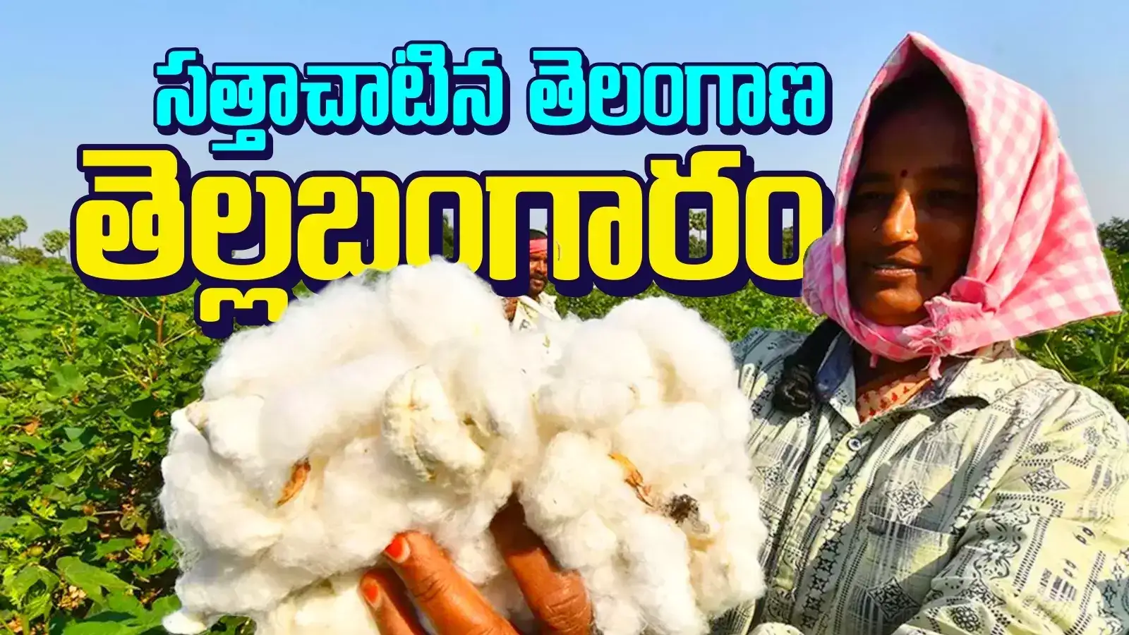 పత్తి కొనుగోళ్లలో దేశంలోనే తెలంగాణ నెం.1.. ఏపీ దరిదాపుల్లో కూడా లేదుగా..!