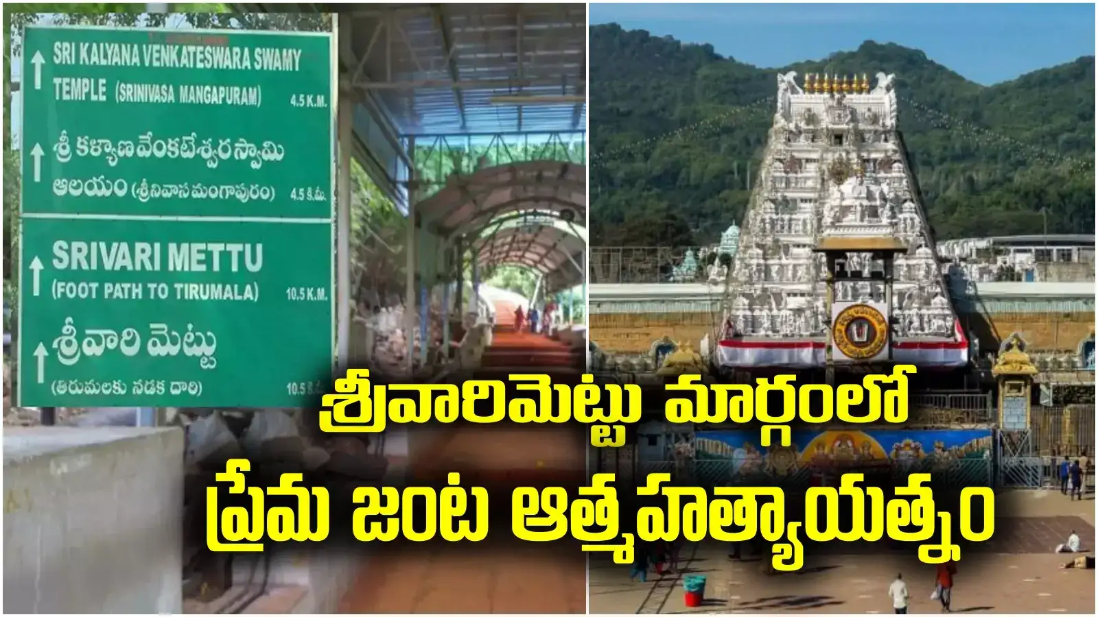 Tirumala: శ్రీవారిమెట్టు మార్గంలో ప్రియుడితో కలిసి వివాహిత ఆత్మహత్యాయత్నం.. చివర్లో ఊహించని ట్విస్ట్!