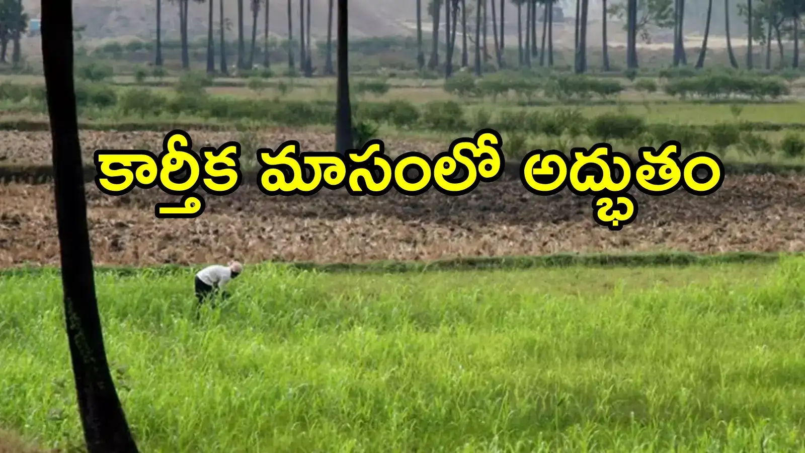 అల్లూరి జిల్లా: రైతు పొలం పనులు చేస్తుండగా అద్భుతం.. కార్తీక మాసంలో దేవుడి మహిమా!