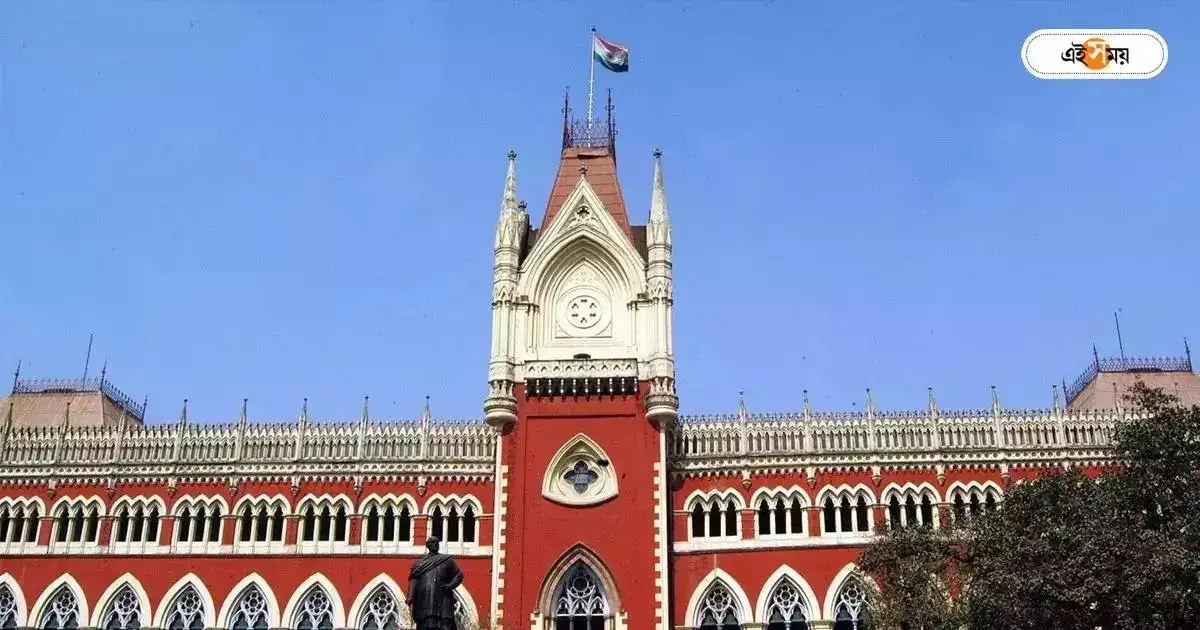Calcutta High Court: ইডি-তে গরহাজির শাহজাহান, সিটে স্থগিতাদেশ ডিভিশন বেঞ্চে – calcutta high court division bench suspension in special investigation team on sandeshkhali incident