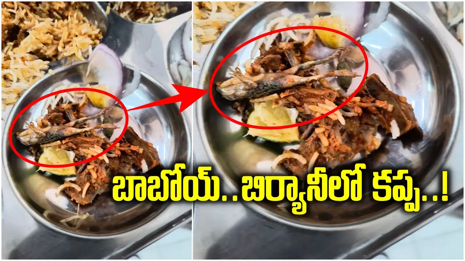 Hyderabad IIIT: అమ్మబాబోయ్.. చికెన్ బిర్యానీలో 'కప్ప'.. మసాలా పట్టించి మరీ ఉడికించారుగా..!