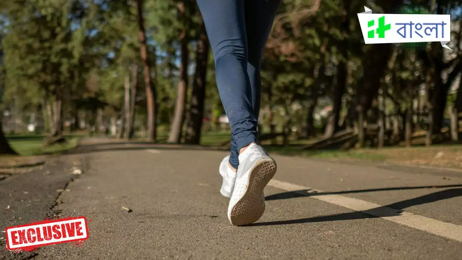 Reychel Steamrachel starrni uradi