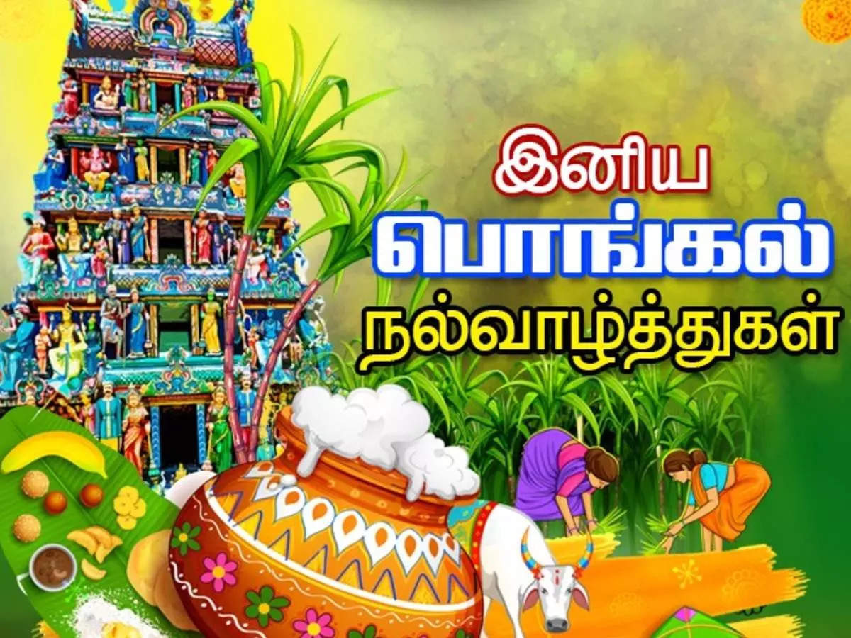 Pongal Valthukkal 2022,Pongal Wishes in Tamil: தைப் ...