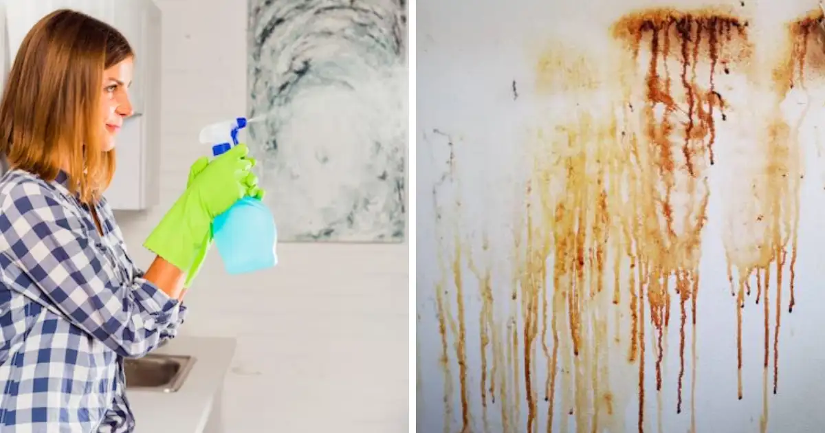 Try these 4 simple ways to remove oil stains from the wall