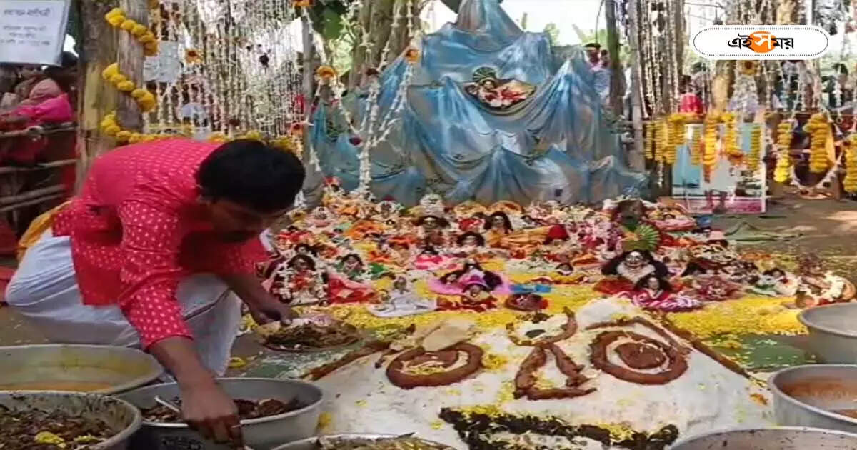Lord Kirshna : ৫৬ রকমের ভোগ সহ এলাহি আয়োজন, গোপাল ঠাকুরের বনভোজন শান্তিপুরে – nadia santipur priests arranges special picnic for lord shri krishna