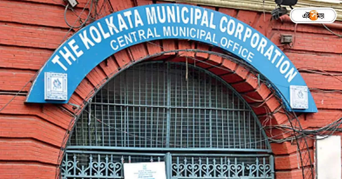 ডেঙ্গি দমনে AI ব্যবহারের ভাবনা পুরসভার – kolkata municipal corporation plans to use ai to tackle dengue