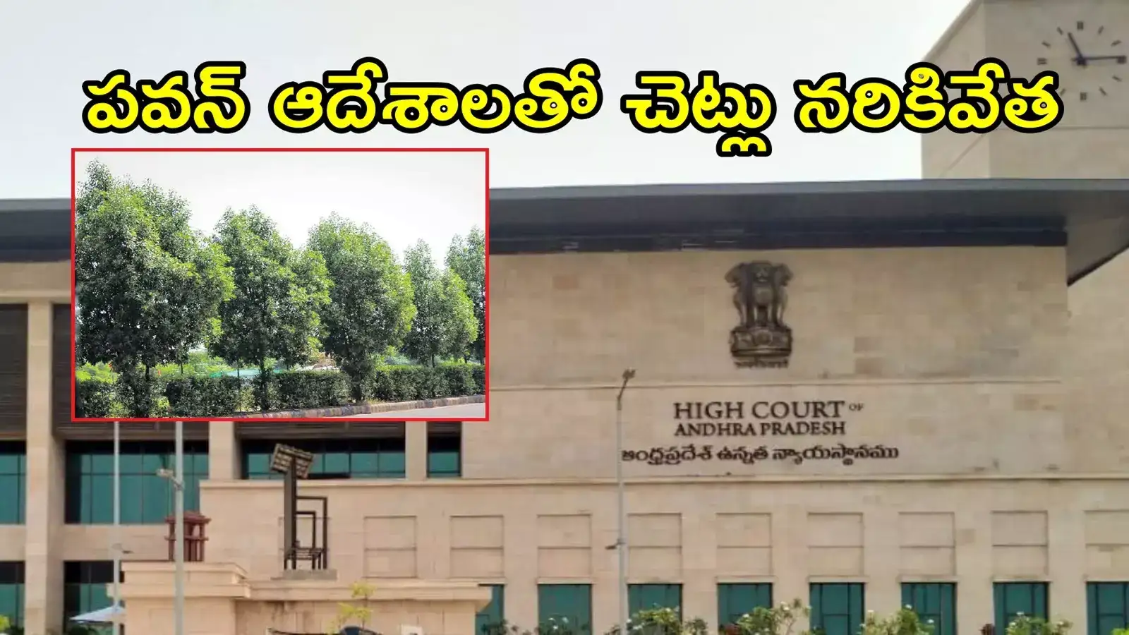 ఏపీలో ఆ చెట్లను నరికివేయకుండా అడ్డుకోండి.. హైకోర్టులో పిల్, ఇటీవలే డేంజర్ అని చెప్పిన పవన్ కళ్యాణ్!