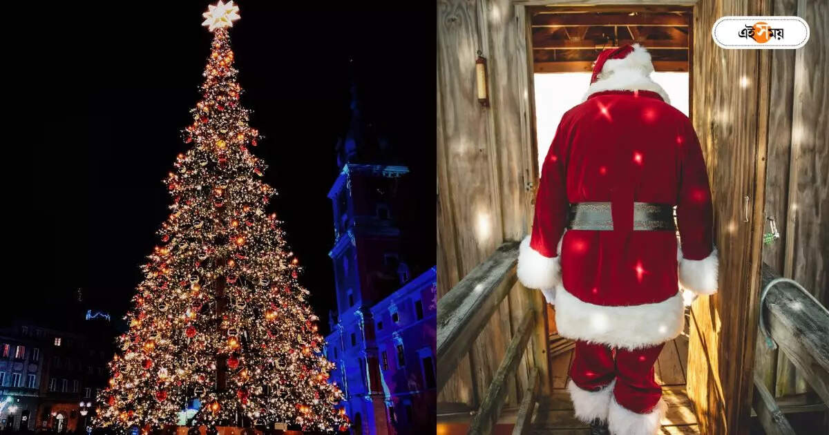 Christmas Tree: এ বার বড়দিনে শহরে ‘ট্র্যাশ ট্রি’ – christmas tree made with use and throw materials in kolkata