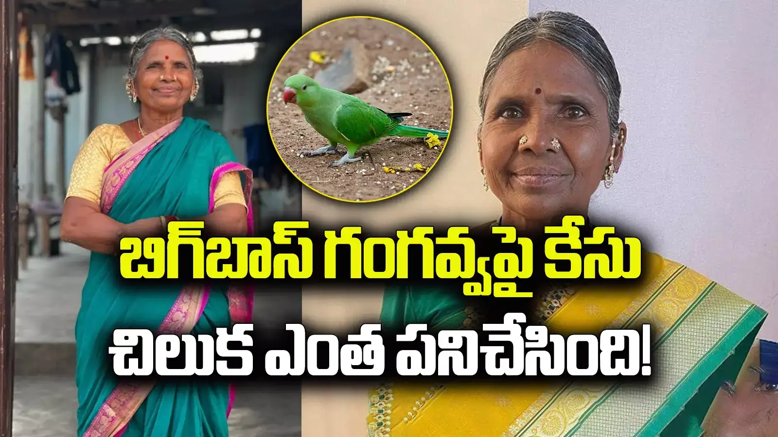 బిగ్‌బాస్ గంగవ్వపై కేసు నమోదు.. చిలుక జోష్యం ఎంత పనిచేసింది!