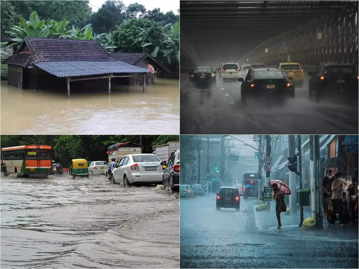 West Bengal Flood Alert: ভারী বৃষ্টিতে বন্যার আশঙ্কা! ৭ জেলা নিয়ে সতর্ক নবান্ন, জারি নির্দেশিকা – flood alert in west bengal 7 districts issued by nabanna due to heavy rainfall in jharkhand