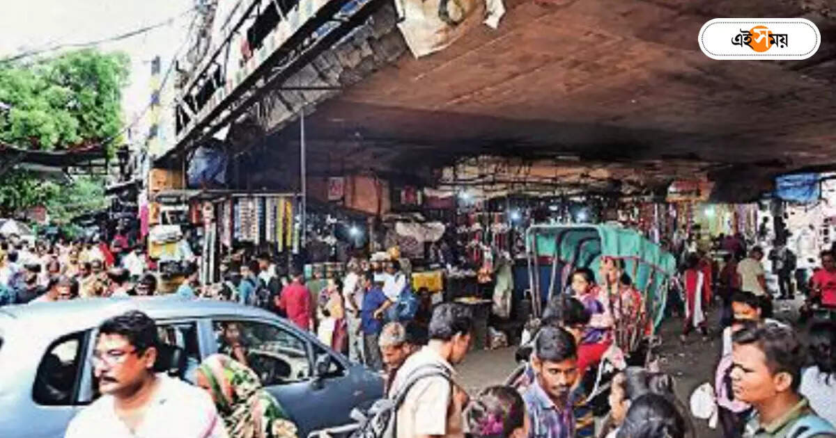 Sealdah Hawker Stall,সেতুর পিলারেও পসরা, মেরামতি হবে কী ভাবে? – sealdah vidyapati bridge hawker stall closed for flyover repair