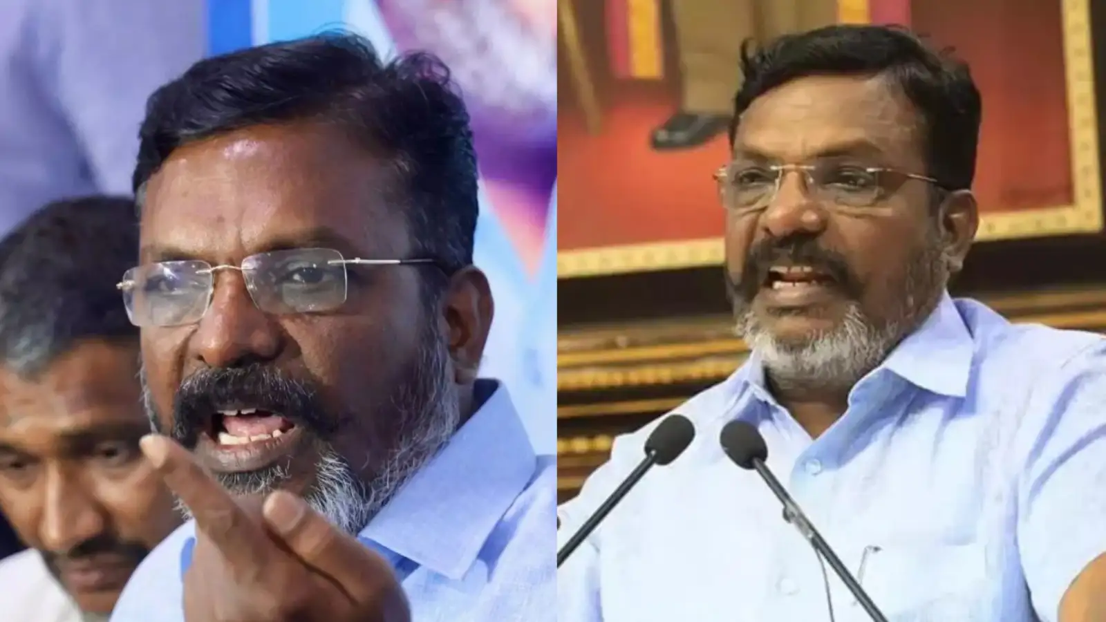 நெல்லை என்றாலே அரிவாள் கலாசாரம்.. வீரம் என்றால் அரிவாளை தூக்குவது இல்ல.. -திருமாவளன் பேச்சு! 