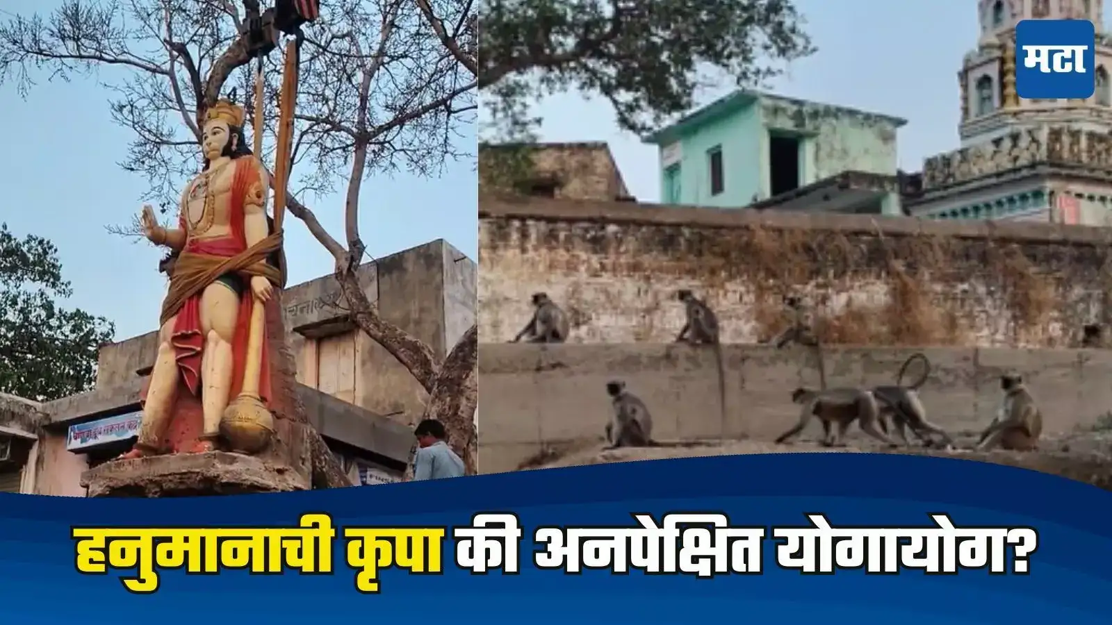 Jalgaon News : पहुरमध्ये थरार! हिरा मारुतीच्या मूर्ती स्थलांतरावेळी वानर सेनेचे आगमन, हनुमानाचा अनोखा चमत्कार? Jalgaon News : पहुरमध्ये थरार! हिरा मारुतीच्या मूर्ती स्थलांतरावेळी वानर सेनेचे आगमन, हनुमानाचा अनोखा चमत्कार?