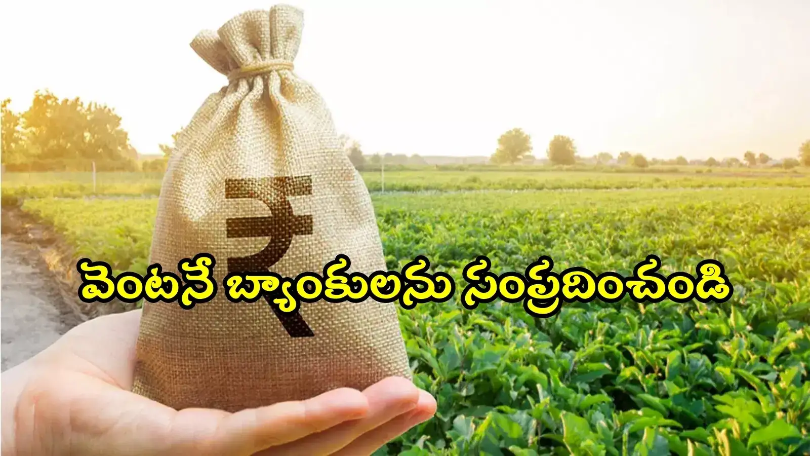 తెలంగాణలోని కౌలు రైతులకు గుడ్‌న్యూస్.. రూ.2.5 లక్షల వరకు బెనిఫిట్, ఈ జిల్లాల వారికి ప్రాధాన్యం