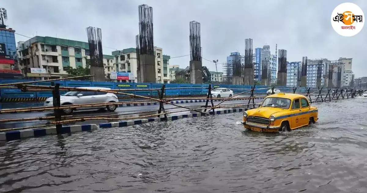Heavy Rainfalls: অতিবৃষ্টিতে বিপদ, ছুটির দিনেও বৈঠকে মুখ্যসচিব – chief secretary manoj pant held a virtual meeting with district magistrates to handle flood situation of state