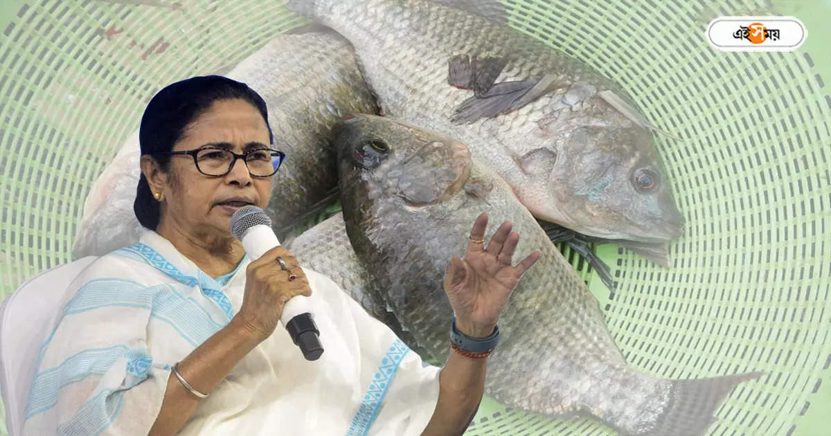 Mamata Banerjee,তেলাপিয়া মাছ খেলে কি ক্যানসার হয়? ভ্রান্ত ধারণা কাটিয়ে বড় নির্দেশ মুখ্যমন্ত্রীর – mamata banerjee statement on rumour about tilapia fish causes cancer