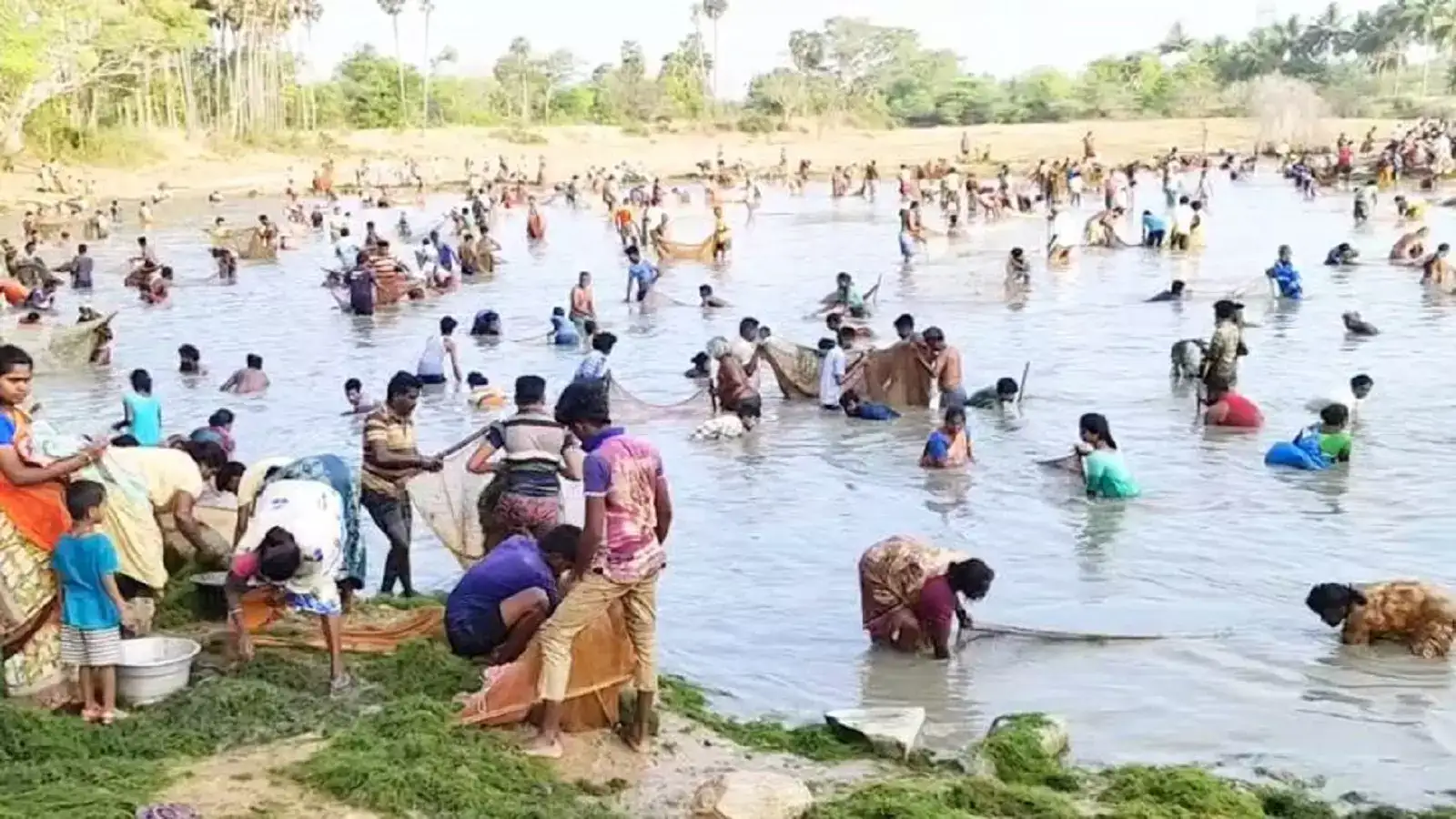 புதுக்கோட்டை அருகே மீன்பிடி திருவிழா கோலாகலம்! 