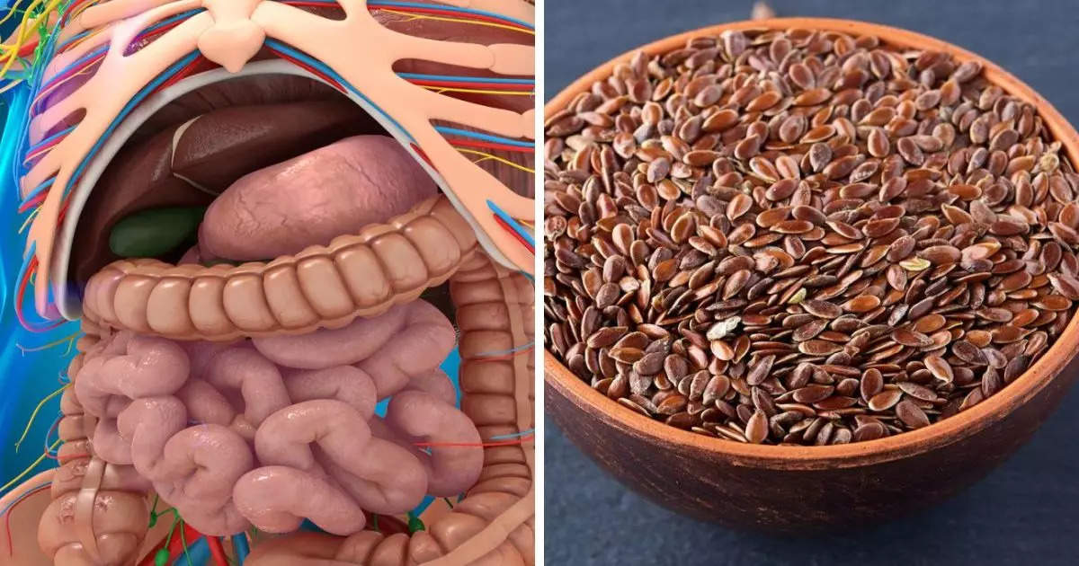 Foods For Digestion,How to improve digestion:पाचन तंत्र को मशीन बना देंगे ये 6 उपाय, अपच-खट्टी डकार और कब्ज का होगा सफाया - 6 easy and effective ways to improve digestion and get