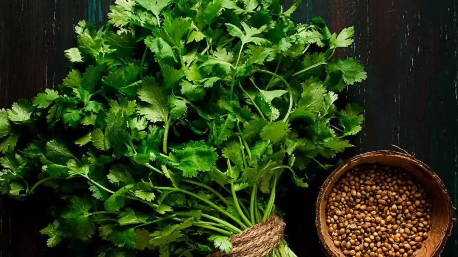 கொத்தமல்லி விலை மீண்டும் உயர்வு.. இன்றைய காய்கறி விலைப் பட்டியல்! 