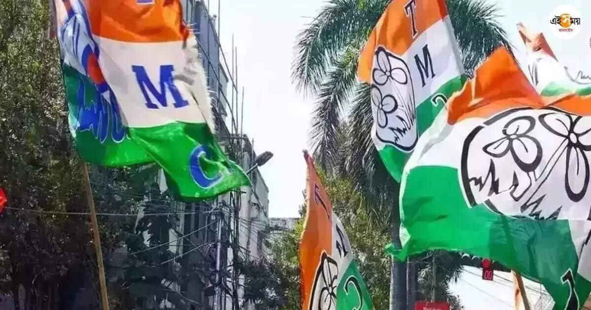 Trinamool Congress: সব কেন্দ্রে জয়ের লক্ষ্যে ময়দানে সাংসদ, মন্ত্রীরা – tmc fielding its mps and ministers in most of constituencies to win the assembly bypolls