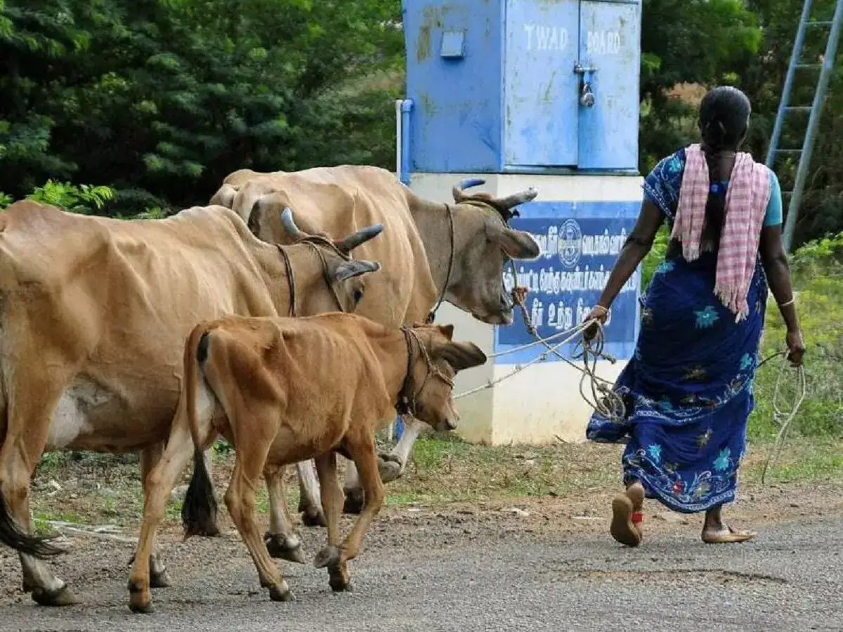 விவசாயிகளுக்கு கடன் தரும் திட்டம்.. மீனவர்களும் பயன்! 