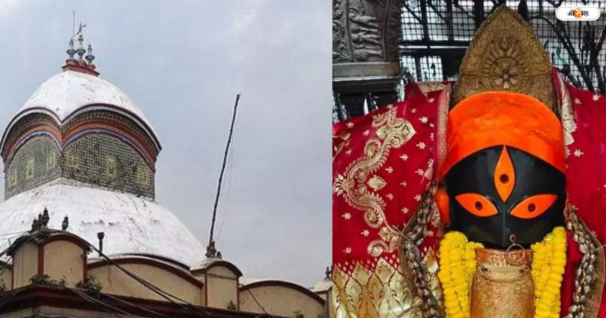 Kalighat Skywalk: অগস্টেই খুলে যাচ্ছে কালীঘাট স্কাইওয়াক, নতুন করে উদ্বোধন মন্দিরেরও – kolkata municipal corporation decided to open kalighat skywalk in august