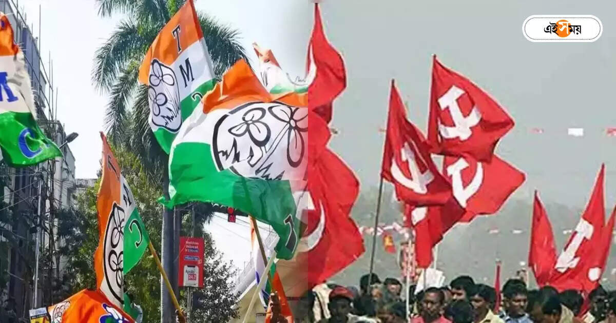 Lok Sabha Election,সিপিএমের প্রচারে বের হওয়ায় মার! কাঠগড়ায় তৃণমূল – trinamool accused of beating for lok sabha election campaigning cpim candidate in khardah