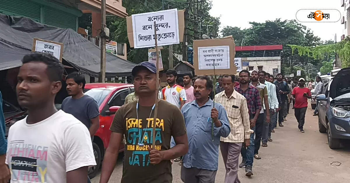 Jhargram Elephant Death,হাতির মৃত্যুর বিচার চেয়ে মিছিলের ডাক কলকাতায় – animal lovers call for protest march in kolkata demand justice for elephant death in jhargram