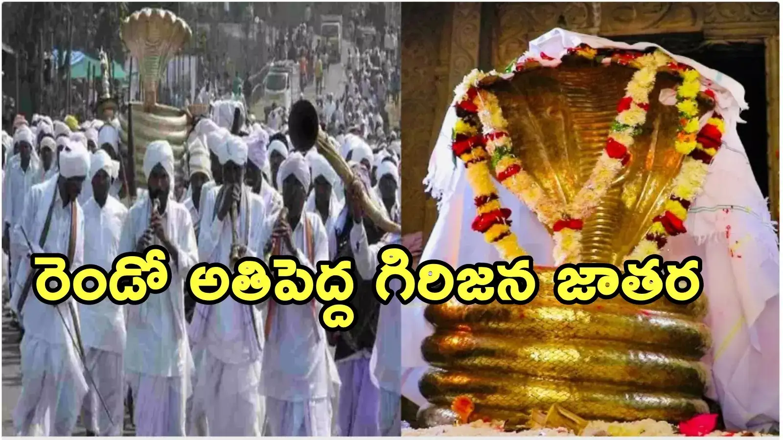 నాగోబా జాతరకు ముహూర్తం ఖరారు.. ఈ నెల 28న అర్ధరాత్రి మహాపూజతో ప్రారంభం