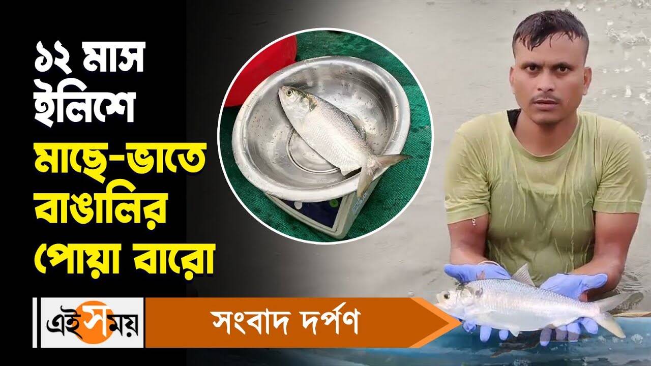 Hilsa Farming in Pond : ১২ মাস ইলিশে মাছে-ভাতে বাঙালির পোয়া বারো – hilsa fish farming in pond an initiative by icar cifri fisheries minister biplab roy chowdhury reaction watch video