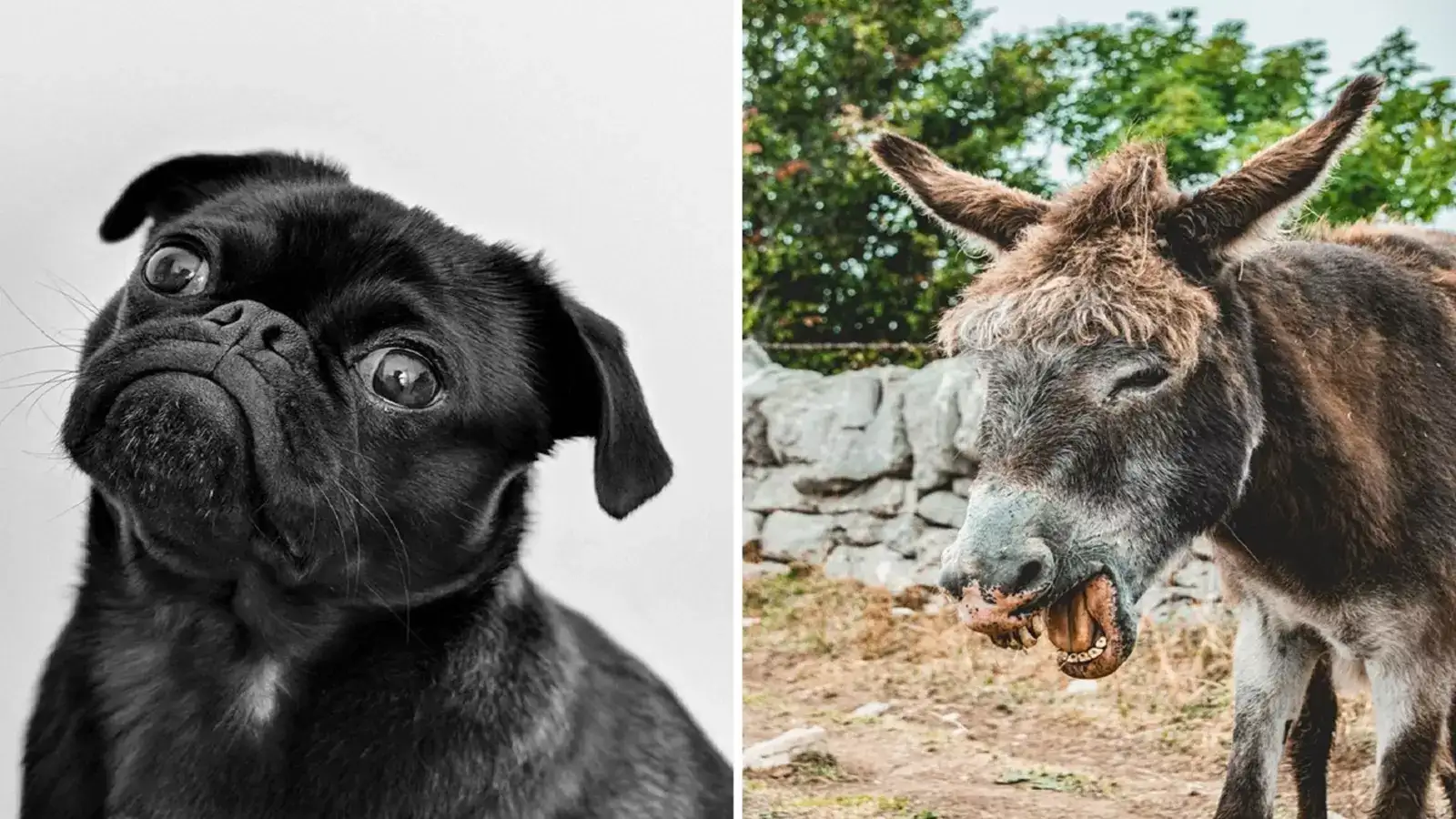 Rus ona va ogli porno video